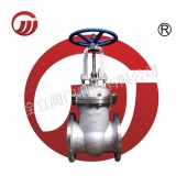 Stainless steel large diameter flange valve